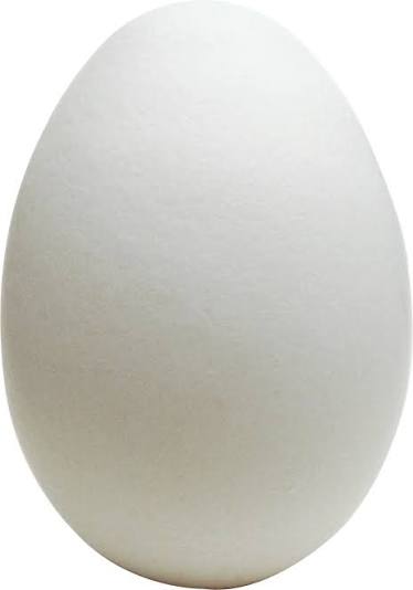 EGG 1PCS
